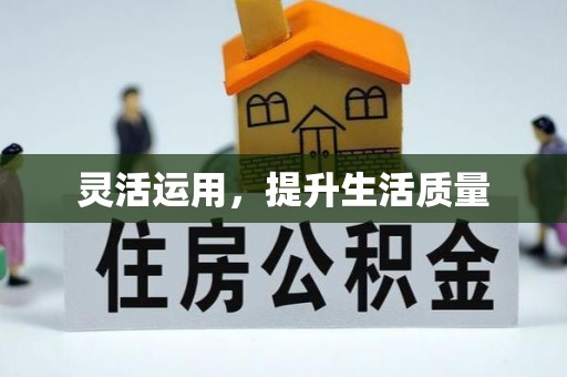 石林灵活运用，提升生活质量