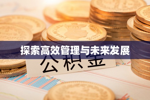 石林探索高效管理与未来发展