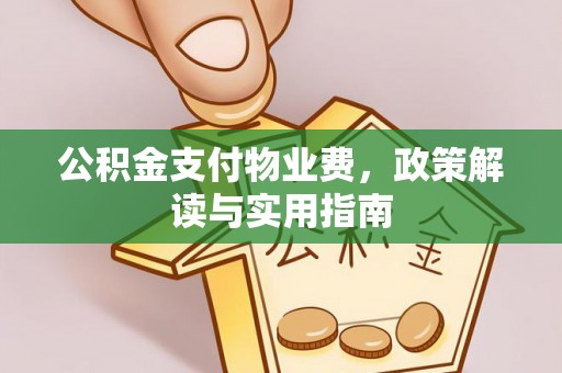 石林公积金支付物业费，政策解读与实用指南